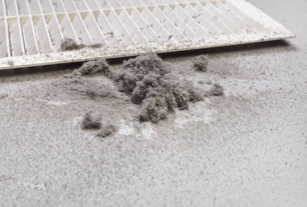 Best Affordable Duct Cleaning Services  in Newton, MA