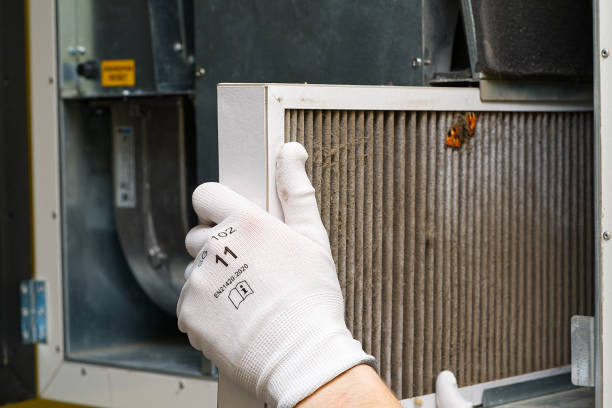 Best Ductwork Cleaning Services  in Newton, MA